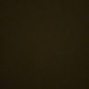 ariana_mg